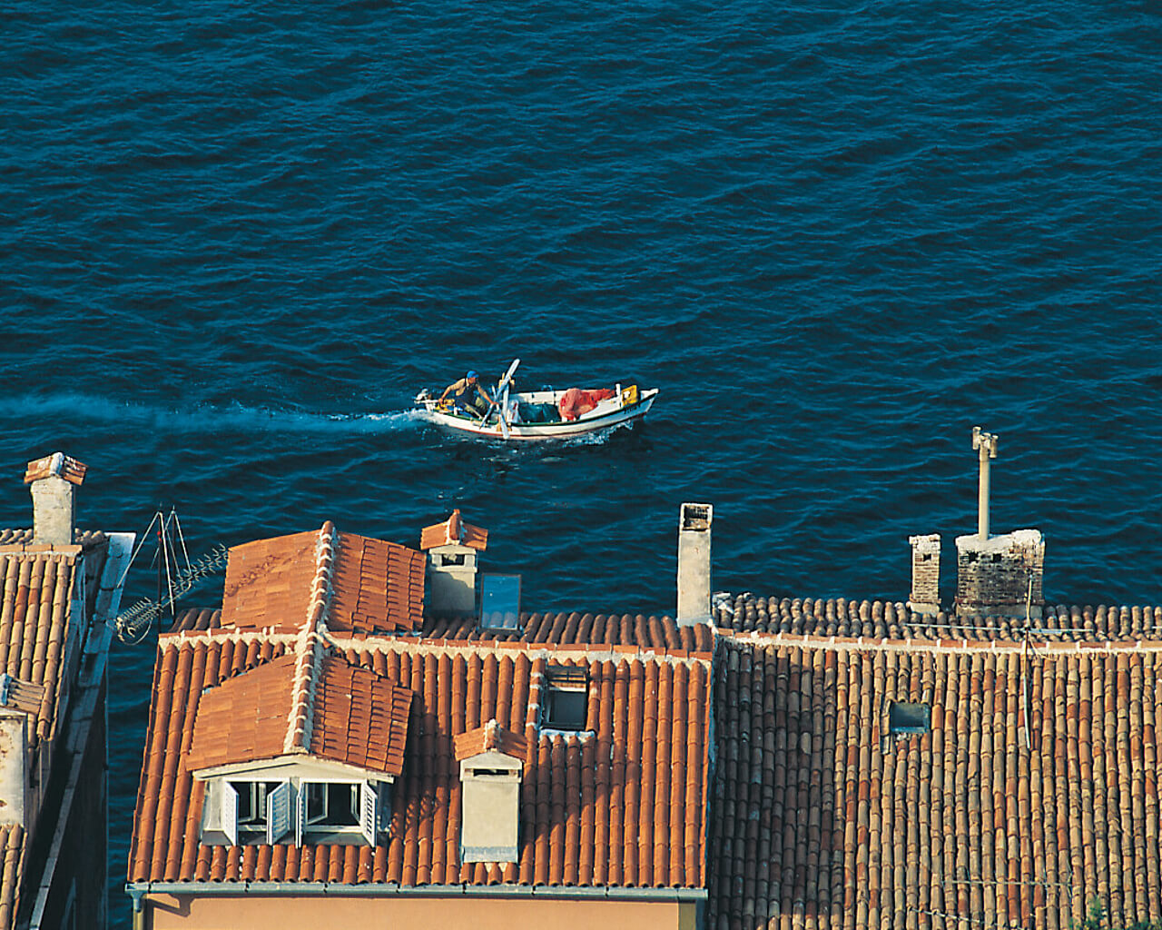 Voyages à Rovinj, Dalmatie, Croatie